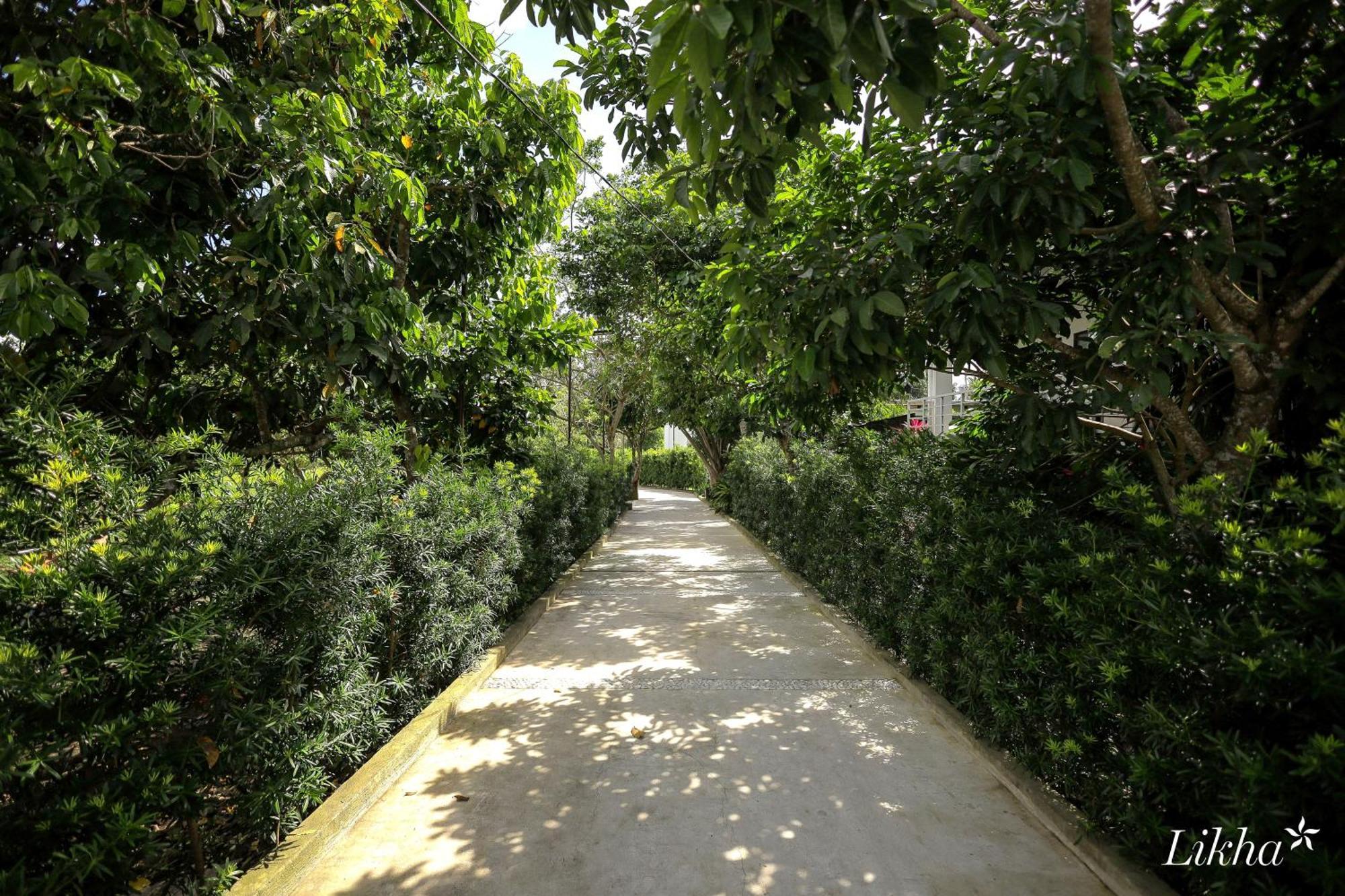 ליפה Likha Wellness Resort מראה חיצוני תמונה